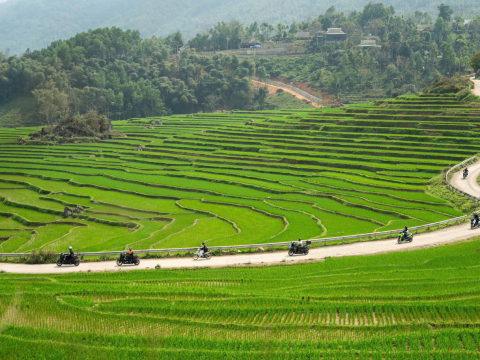 Revzone Yamaha Motor